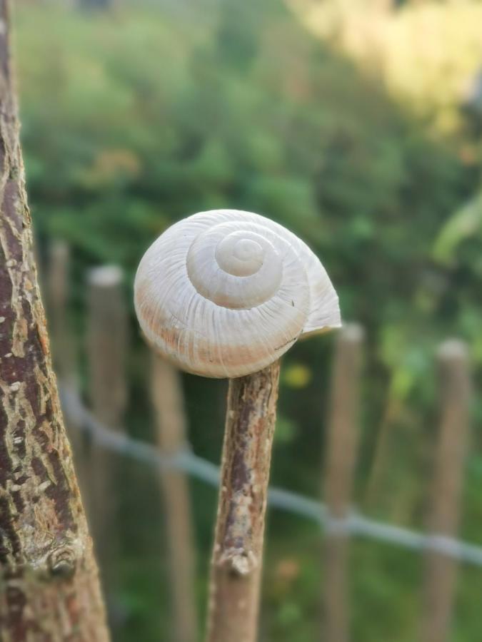 Ferienglueck An Der Nordsee Buche Deine Erdgeschoss-Ferienwohnung Mit Kamin Terrasse Und Eingezaeuntem Garten Fuer Unvergessliche Auszeiten Altfunnixsiel Exterior foto